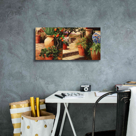 Image of 'Turo Tuscan Orange' by Art Fronckowiak, Giclee Canvas Wall Art,24x12