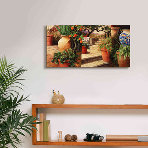 'Turo Tuscan Orange' by Art Fronckowiak, Giclee Canvas Wall Art,24x12