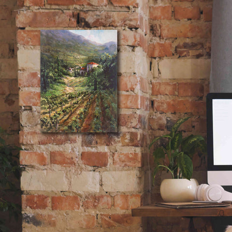 Image of 'Tuscany Vineyard' by Art Fronckowiak, Giclee Canvas Wall Art,12x16