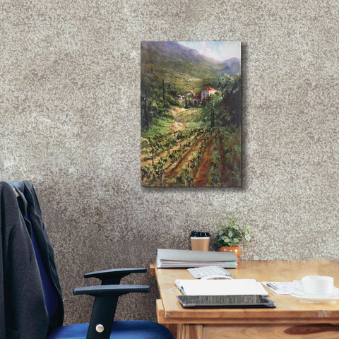 Image of 'Tuscany Vineyard' by Art Fronckowiak, Giclee Canvas Wall Art,18x26