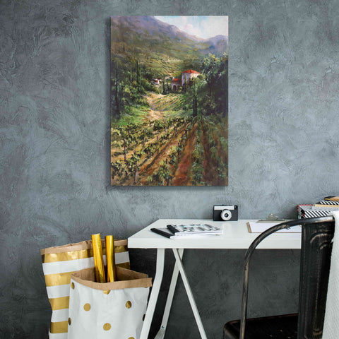 Image of 'Tuscany Vineyard' by Art Fronckowiak, Giclee Canvas Wall Art,18x26