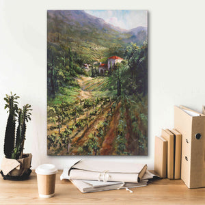 'Tuscany Vineyard' by Art Fronckowiak, Giclee Canvas Wall Art,18x26