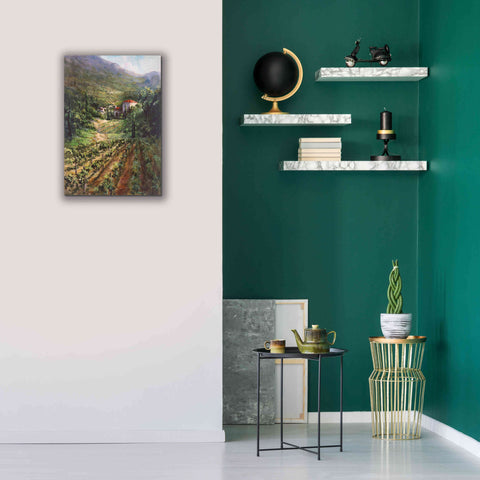 Image of 'Tuscany Vineyard' by Art Fronckowiak, Giclee Canvas Wall Art,18x26