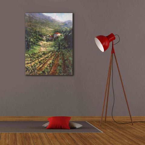 Image of 'Tuscany Vineyard' by Art Fronckowiak, Giclee Canvas Wall Art,26x34