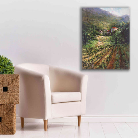 Image of 'Tuscany Vineyard' by Art Fronckowiak, Giclee Canvas Wall Art,26x34
