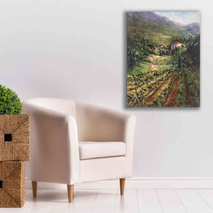 'Tuscany Vineyard' by Art Fronckowiak, Giclee Canvas Wall Art,26x34