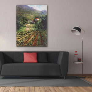 'Tuscany Vineyard' by Art Fronckowiak, Giclee Canvas Wall Art,40x54