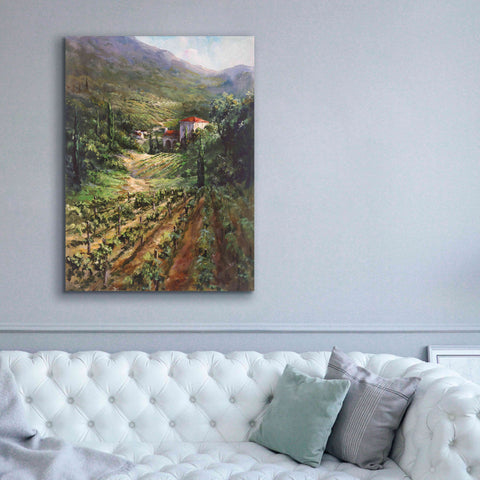 Image of 'Tuscany Vineyard' by Art Fronckowiak, Giclee Canvas Wall Art,40x54