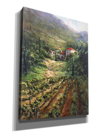 Image of 'Tuscany Vineyard' by Art Fronckowiak, Giclee Canvas Wall Art