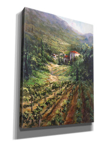 'Tuscany Vineyard' by Art Fronckowiak, Giclee Canvas Wall Art