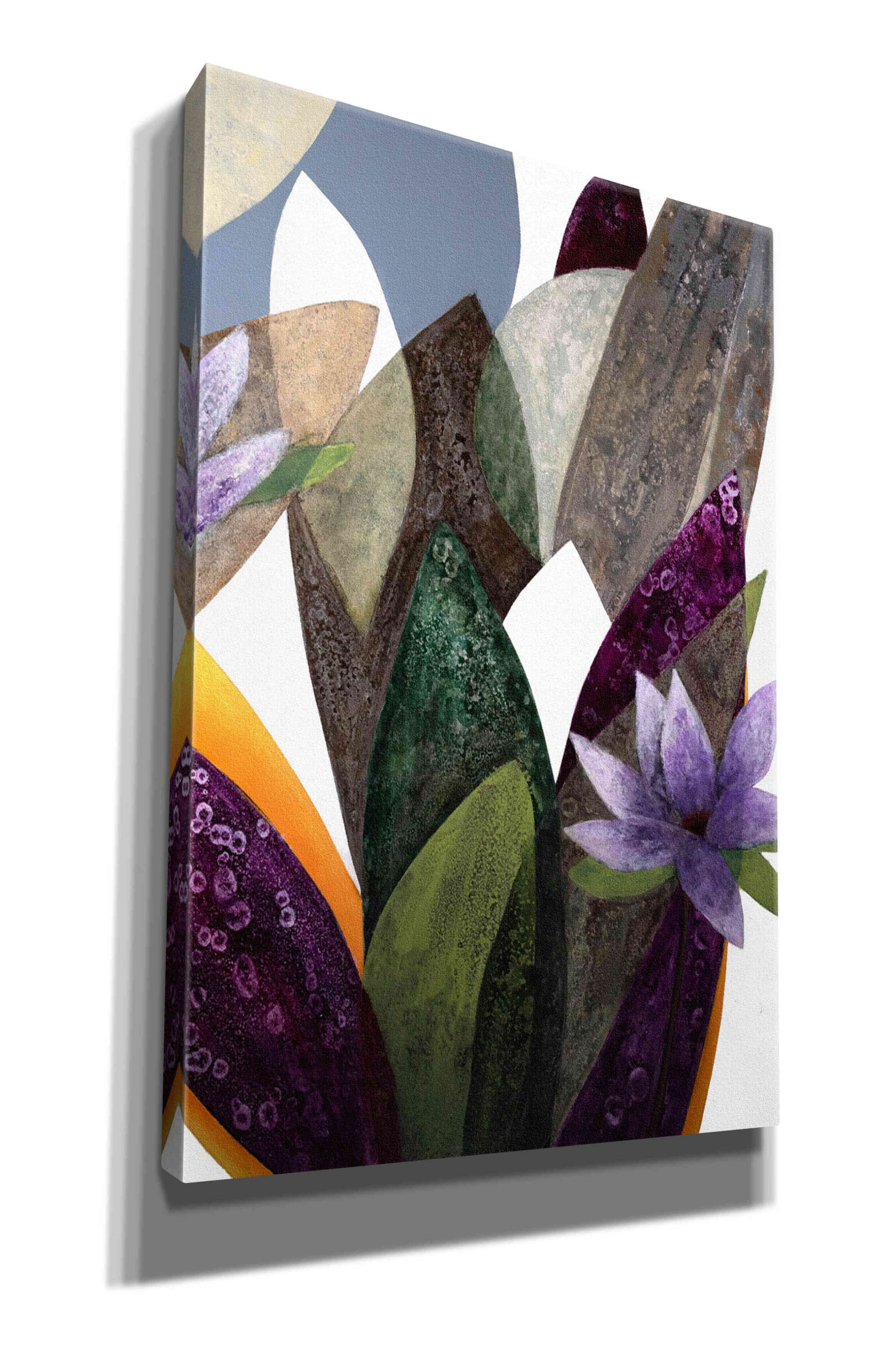 'Jardin Eterno 4' by Daniela Fedele, Giclee Canvas Wall Art