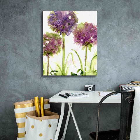 Image of 'Alliums' by Dawn Derman, Giclee Canvas Wall Art,20x24
