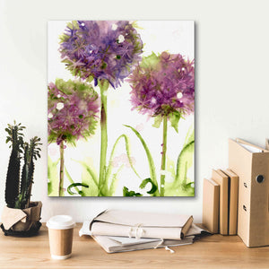 'Alliums' by Dawn Derman, Giclee Canvas Wall Art,20x24