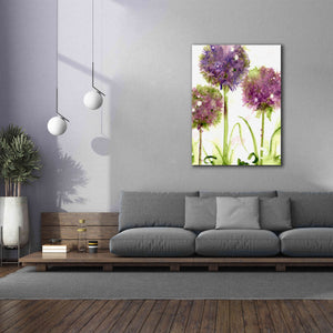 'Alliums' by Dawn Derman, Giclee Canvas Wall Art,40x54
