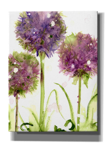 Image of 'Alliums' by Dawn Derman, Giclee Canvas Wall Art