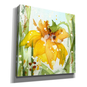 'Daffodil' by Dawn Derman, Giclee Canvas Wall Art