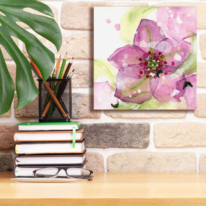 'Pink Flower in the Snow' by Dawn Derman, Giclee Canvas Wall Art,12x12