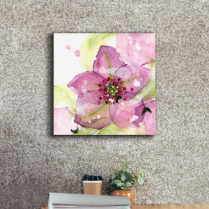 'Pink Flower in the Snow' by Dawn Derman, Giclee Canvas Wall Art,18x18