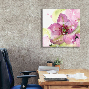 'Pink Flower in the Snow' by Dawn Derman, Giclee Canvas Wall Art,26x26