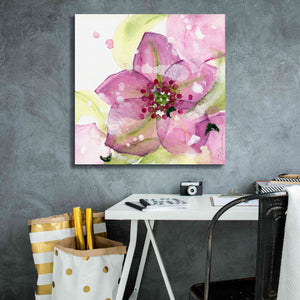 'Pink Flower in the Snow' by Dawn Derman, Giclee Canvas Wall Art,26x26