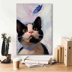 'Cat and Butterfly' by Diane Hoeptner, Giclee Canvas Wall Art,18x26