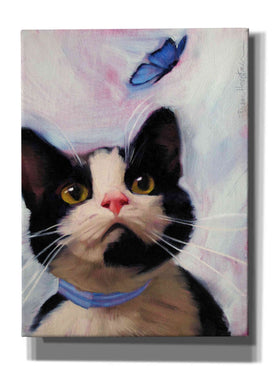 'Cat and Butterfly' by Diane Hoeptner, Giclee Canvas Wall Art