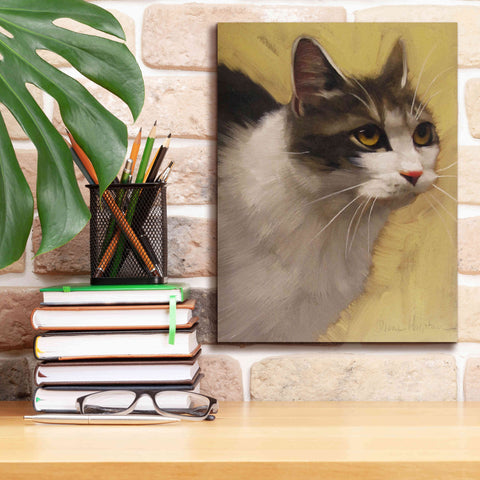 'Derby Cat' by Diane Hoeptner, Giclee Canvas Wall Art,12x16