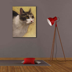 'Derby Cat' by Diane Hoeptner, Giclee Canvas Wall Art,26x34