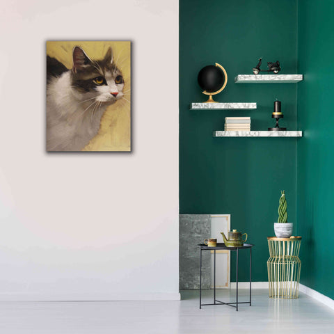 Image of 'Derby Cat' by Diane Hoeptner, Giclee Canvas Wall Art,26x34