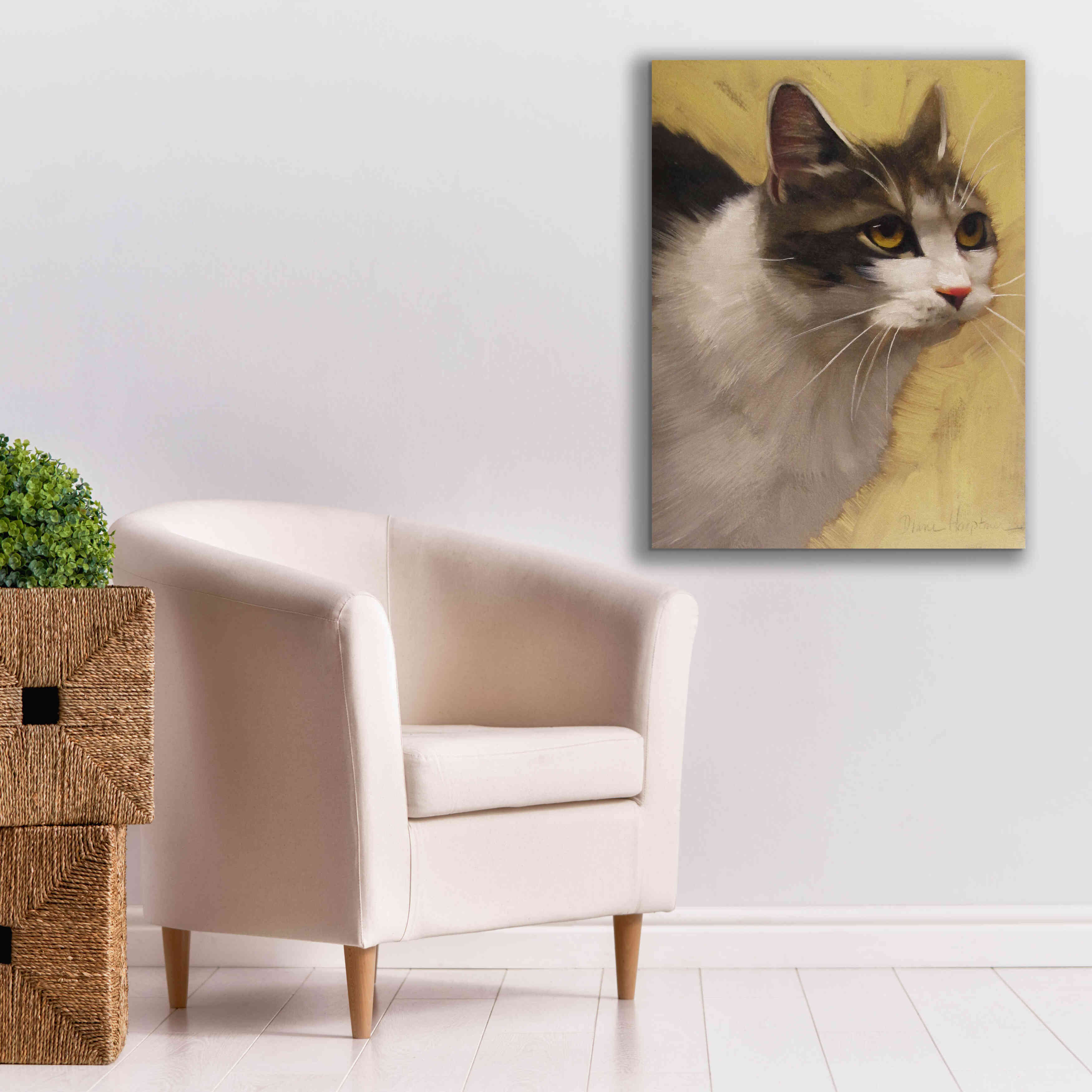 'Derby Cat' by Diane Hoeptner, Giclee Canvas Wall Art,26x34