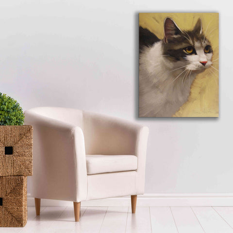 Image of 'Derby Cat' by Diane Hoeptner, Giclee Canvas Wall Art,26x34