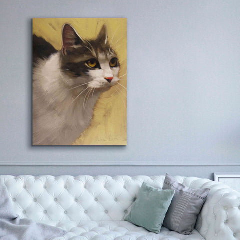 'Derby Cat' by Diane Hoeptner, Giclee Canvas Wall Art,40x54