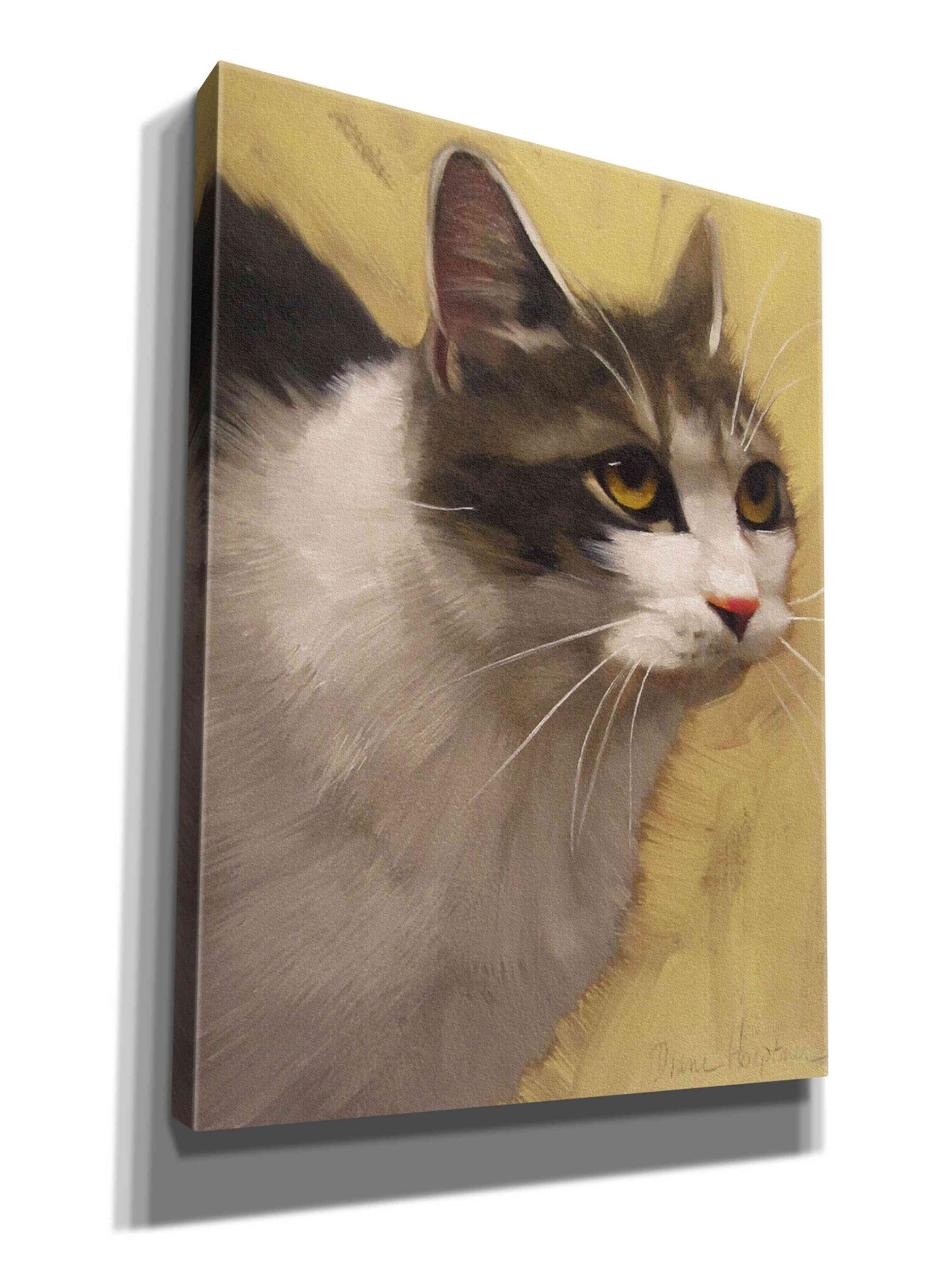'Derby Cat' by Diane Hoeptner, Giclee Canvas Wall Art