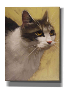 'Derby Cat' by Diane Hoeptner, Giclee Canvas Wall Art