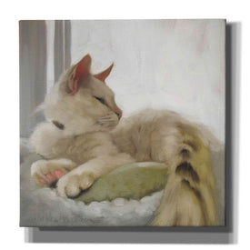'Through the Window' by Diane Hoeptner, Giclee Canvas Wall Art