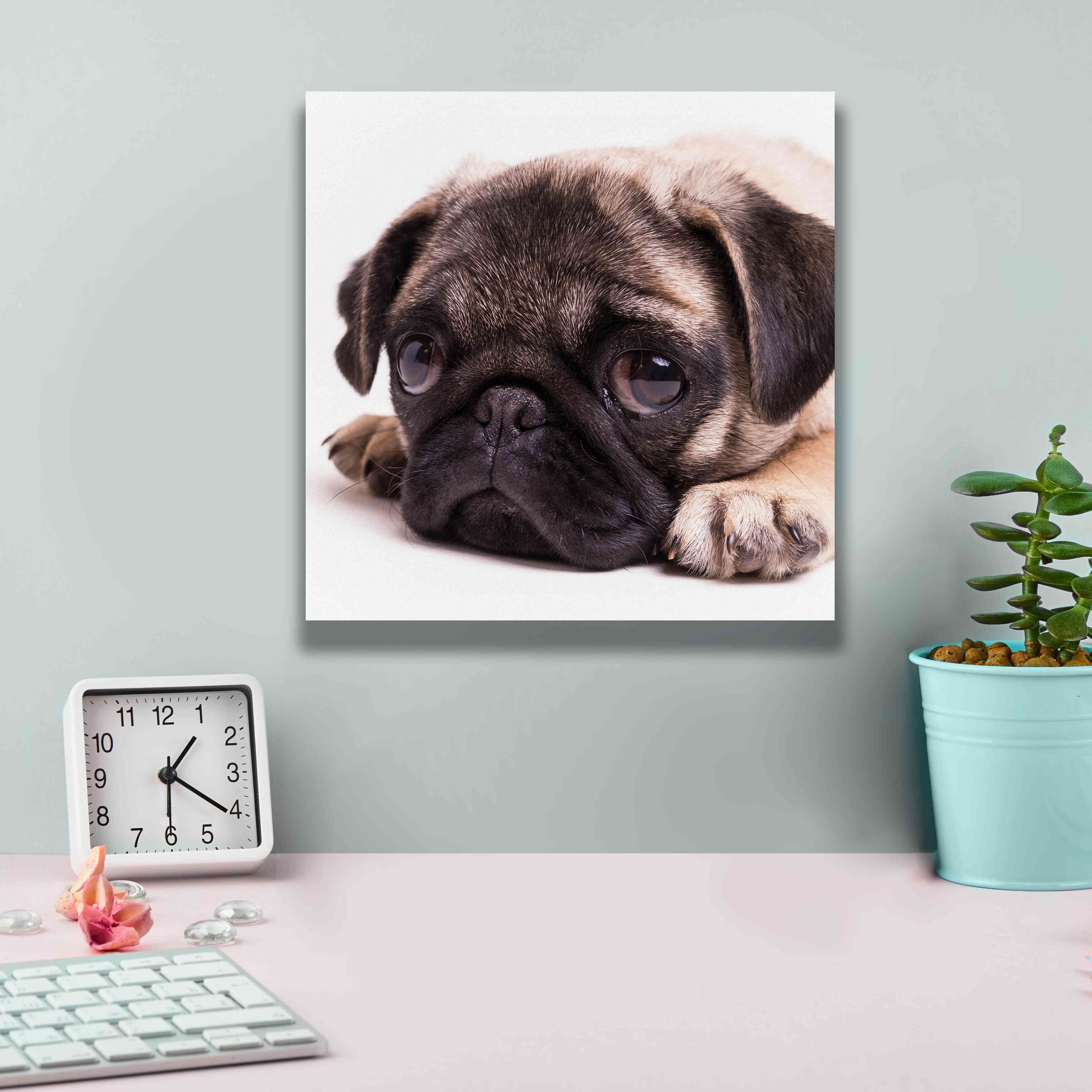 'Sad Sack Pug' by Edward M. Fielding, Giclee Canvas Wall Art,12x12