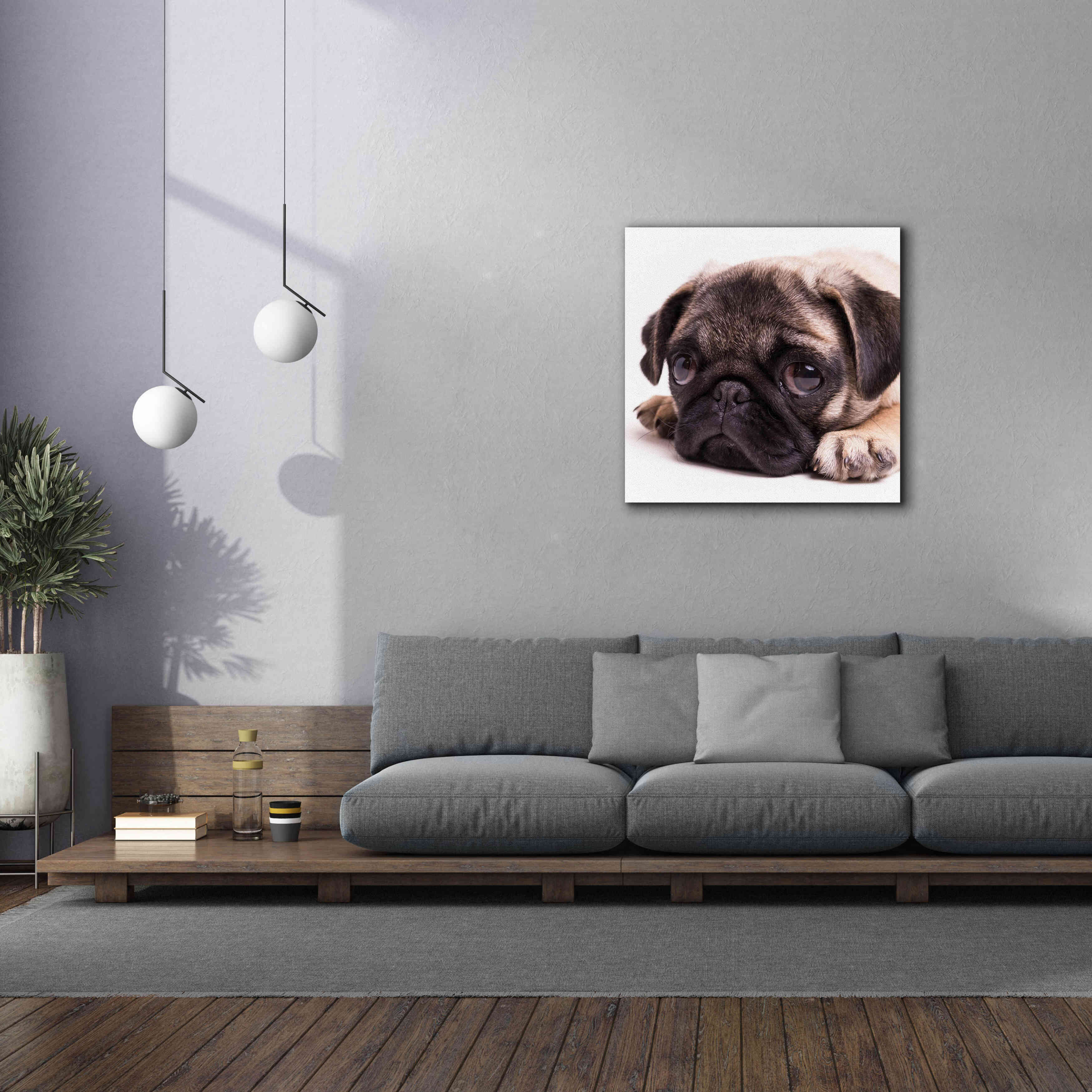 'Sad Sack Pug' by Edward M. Fielding, Giclee Canvas Wall Art,37x37