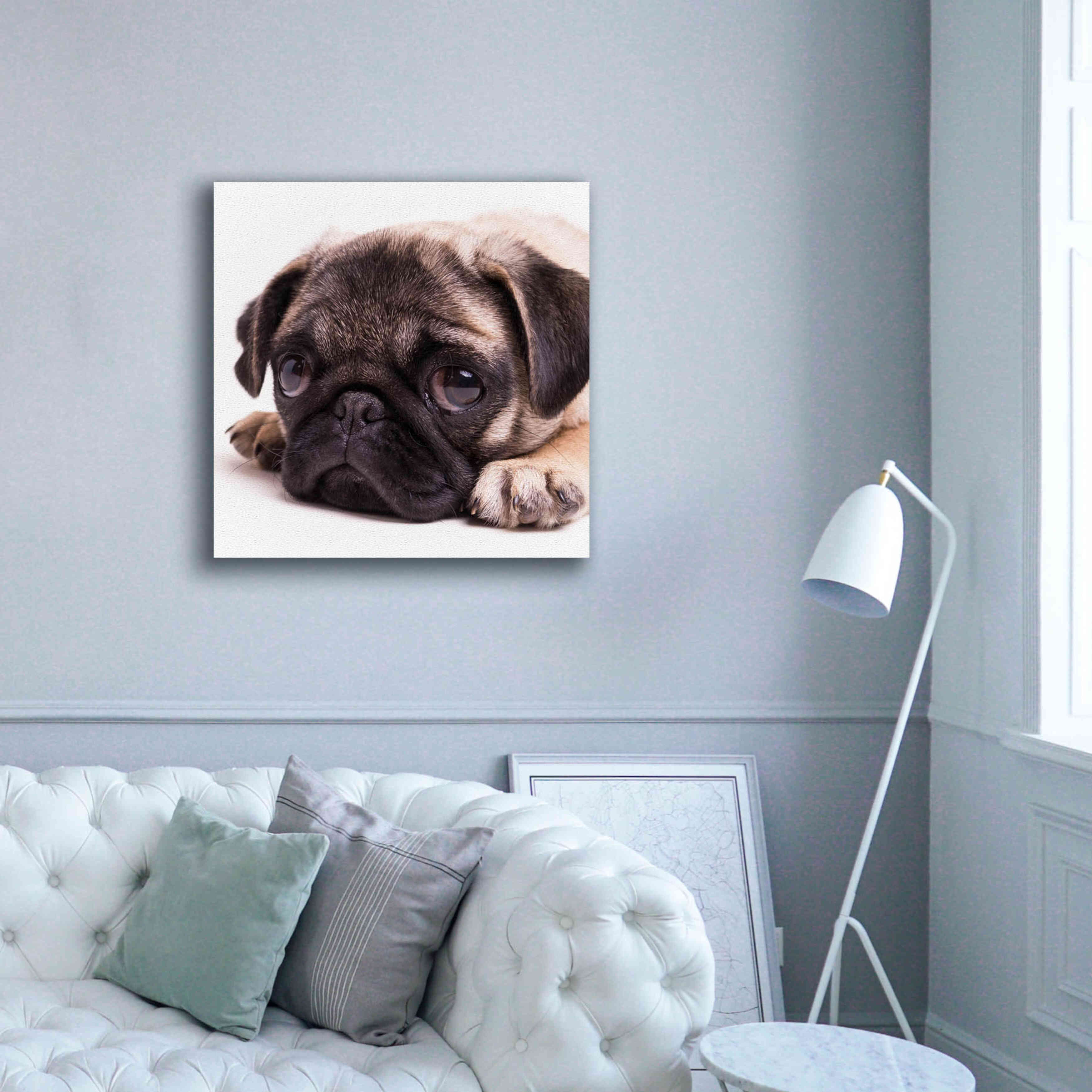 'Sad Sack Pug' by Edward M. Fielding, Giclee Canvas Wall Art,37x37