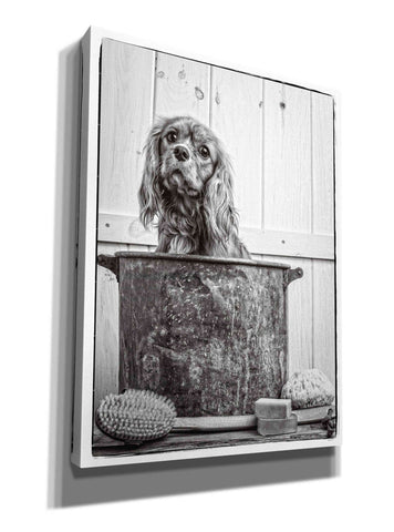 Image of 'Vintage Puppy Bath' by Edward M. Fielding, Giclee Canvas Wall Art