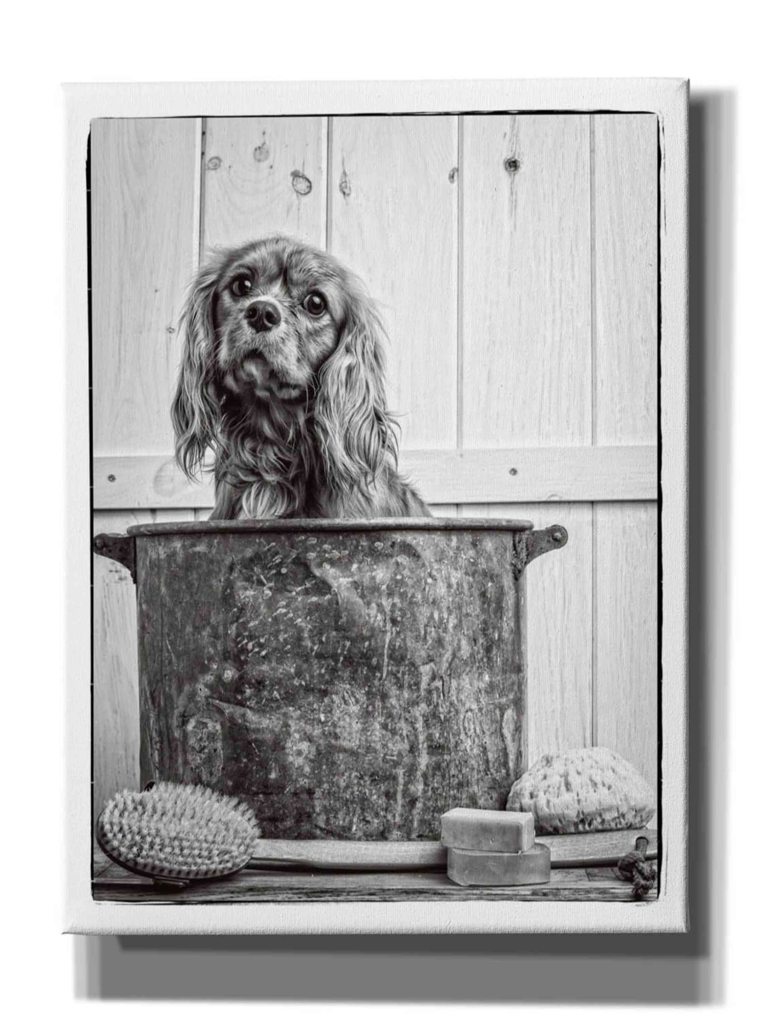 'Vintage Puppy Bath' by Edward M. Fielding, Giclee Canvas Wall Art