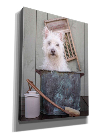Image of 'Washing the Dog' by Edward M. Fielding, Giclee Canvas Wall Art