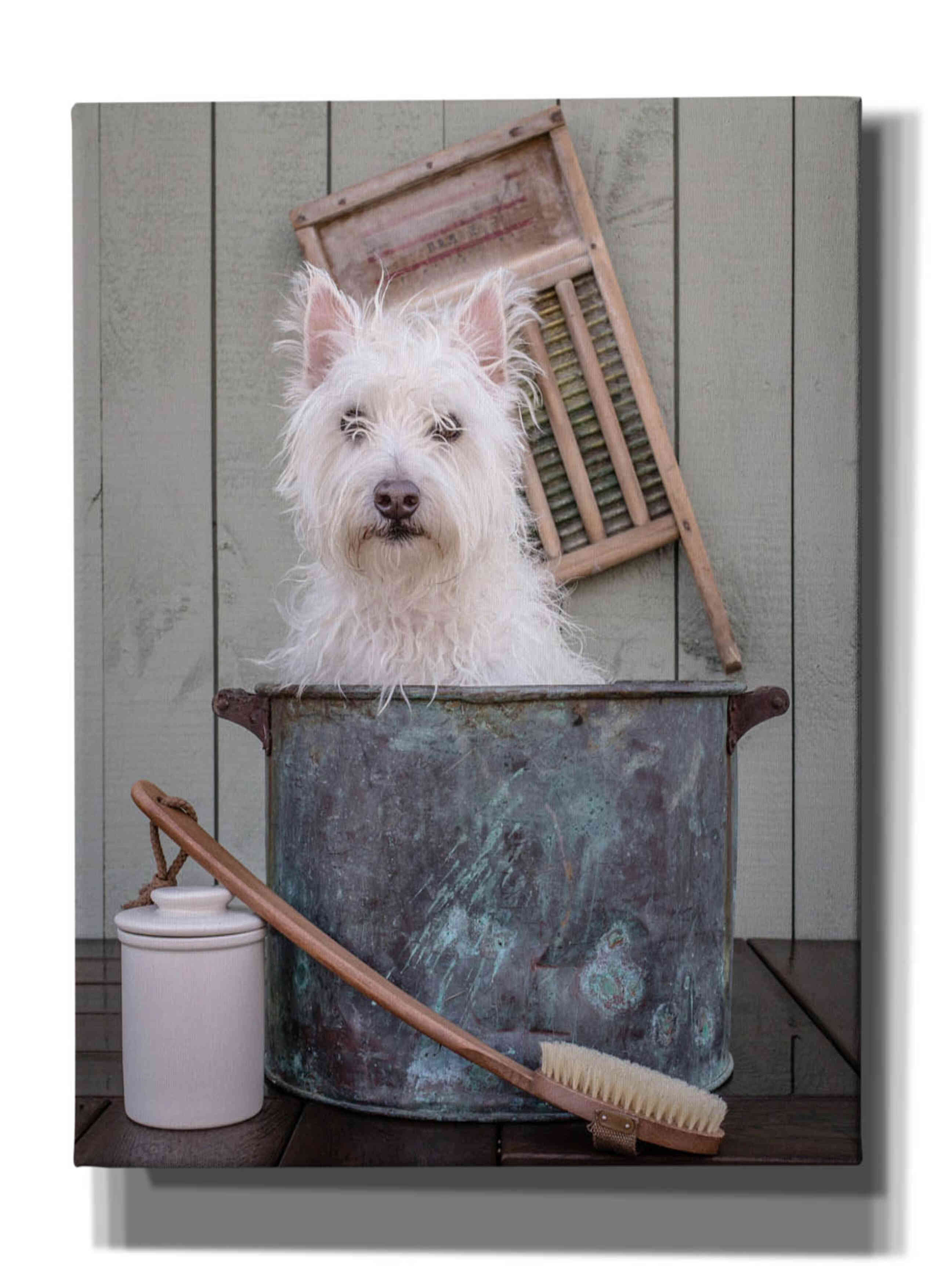 'Washing the Dog' by Edward M. Fielding, Giclee Canvas Wall Art