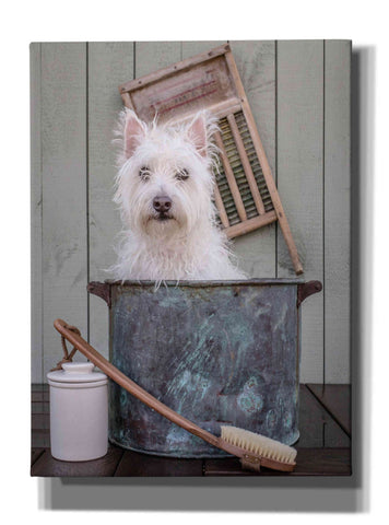Image of 'Washing the Dog' by Edward M. Fielding, Giclee Canvas Wall Art