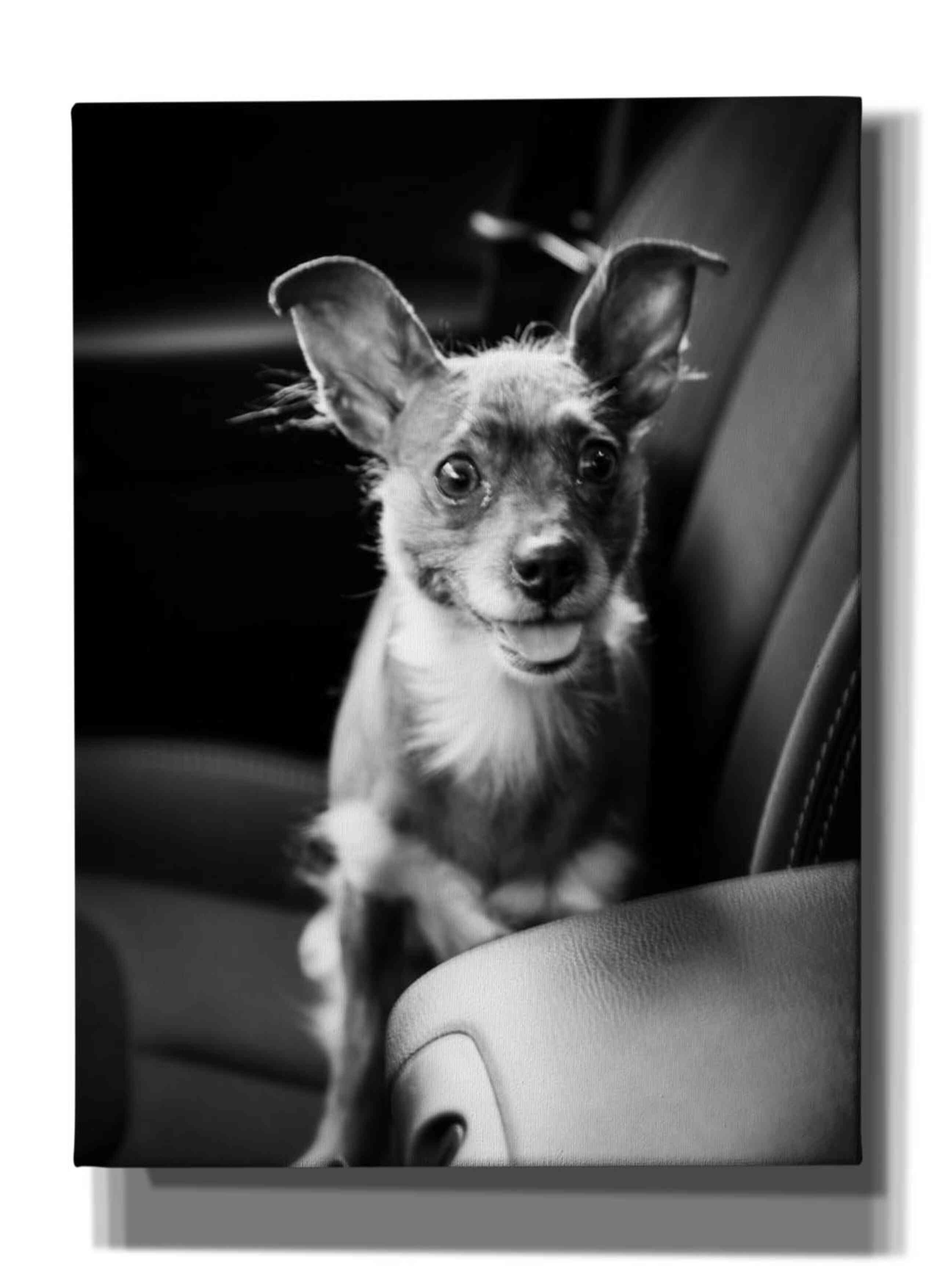 'We Goin’ for a Ride' by Edward M. Fielding, Giclee Canvas Wall Art