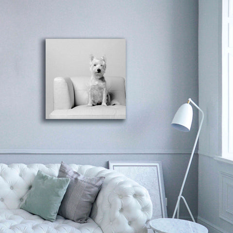 Image of 'White on White' by Edward M. Fielding, Giclee Canvas Wall Art,37x37