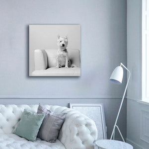 'White on White' by Edward M. Fielding, Giclee Canvas Wall Art,37x37