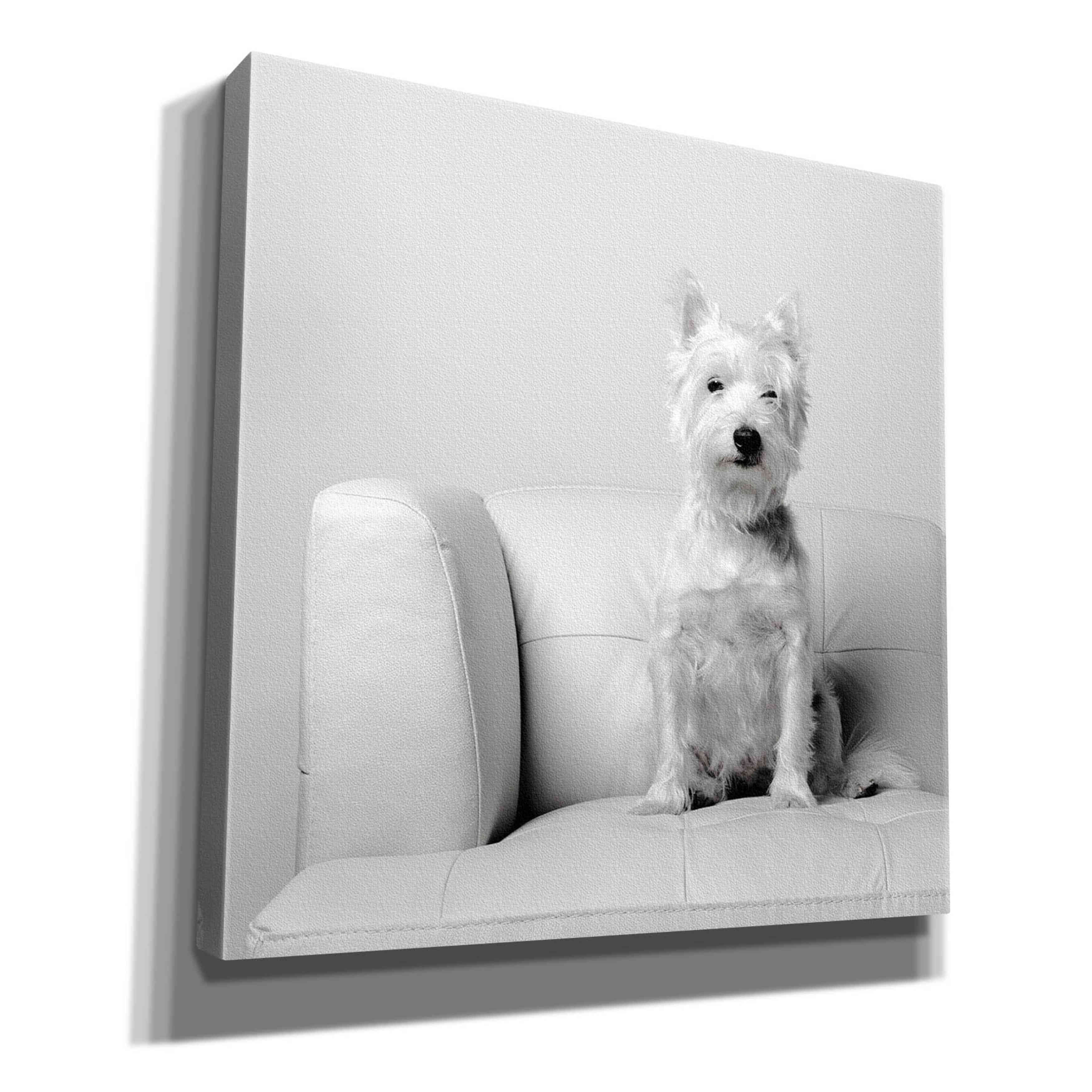 'White on White' by Edward M. Fielding, Giclee Canvas Wall Art