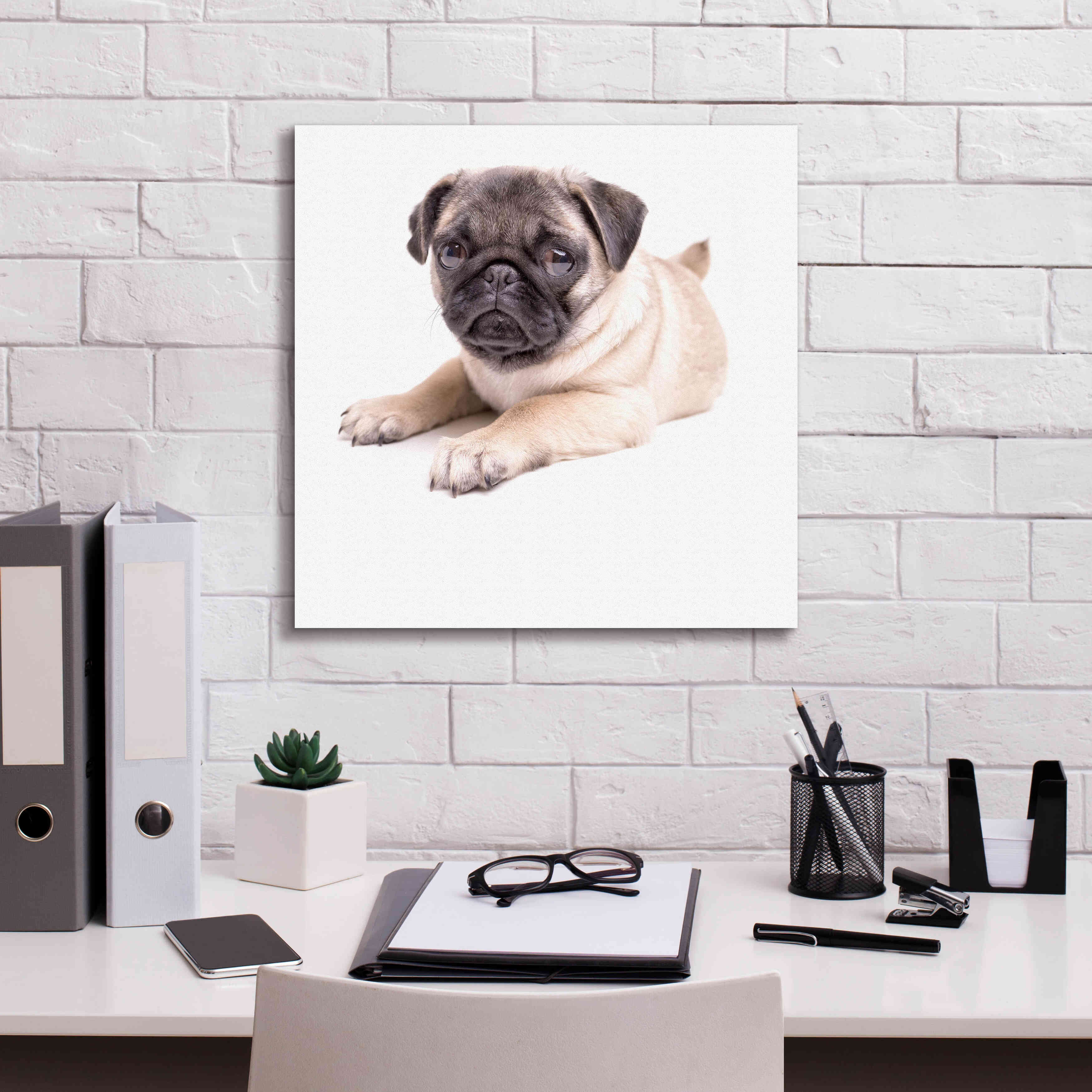 'Cute Pug Puppy' by Edward M. Fielding, Giclee Canvas Wall Art,18x18