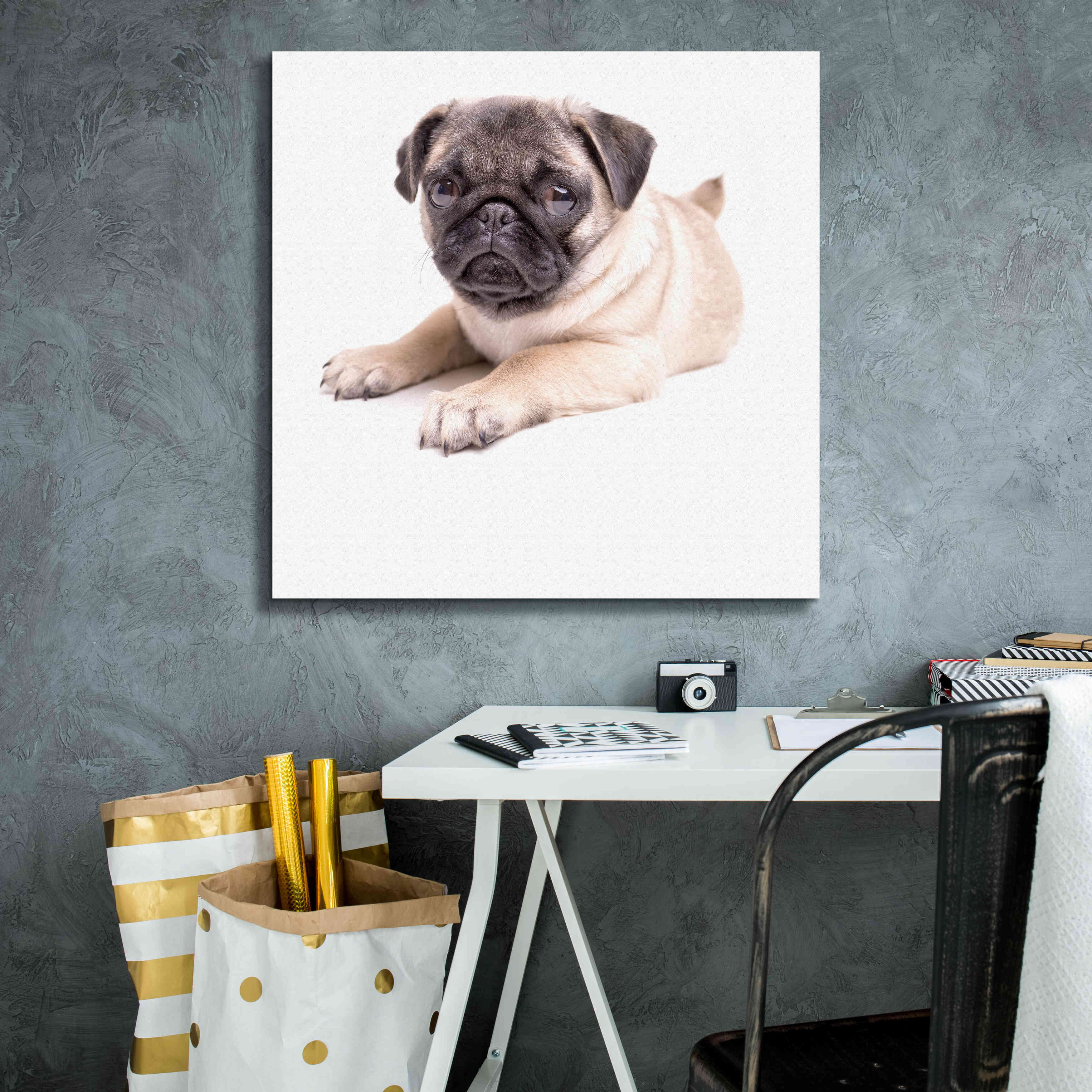 'Cute Pug Puppy' by Edward M. Fielding, Giclee Canvas Wall Art,26x26