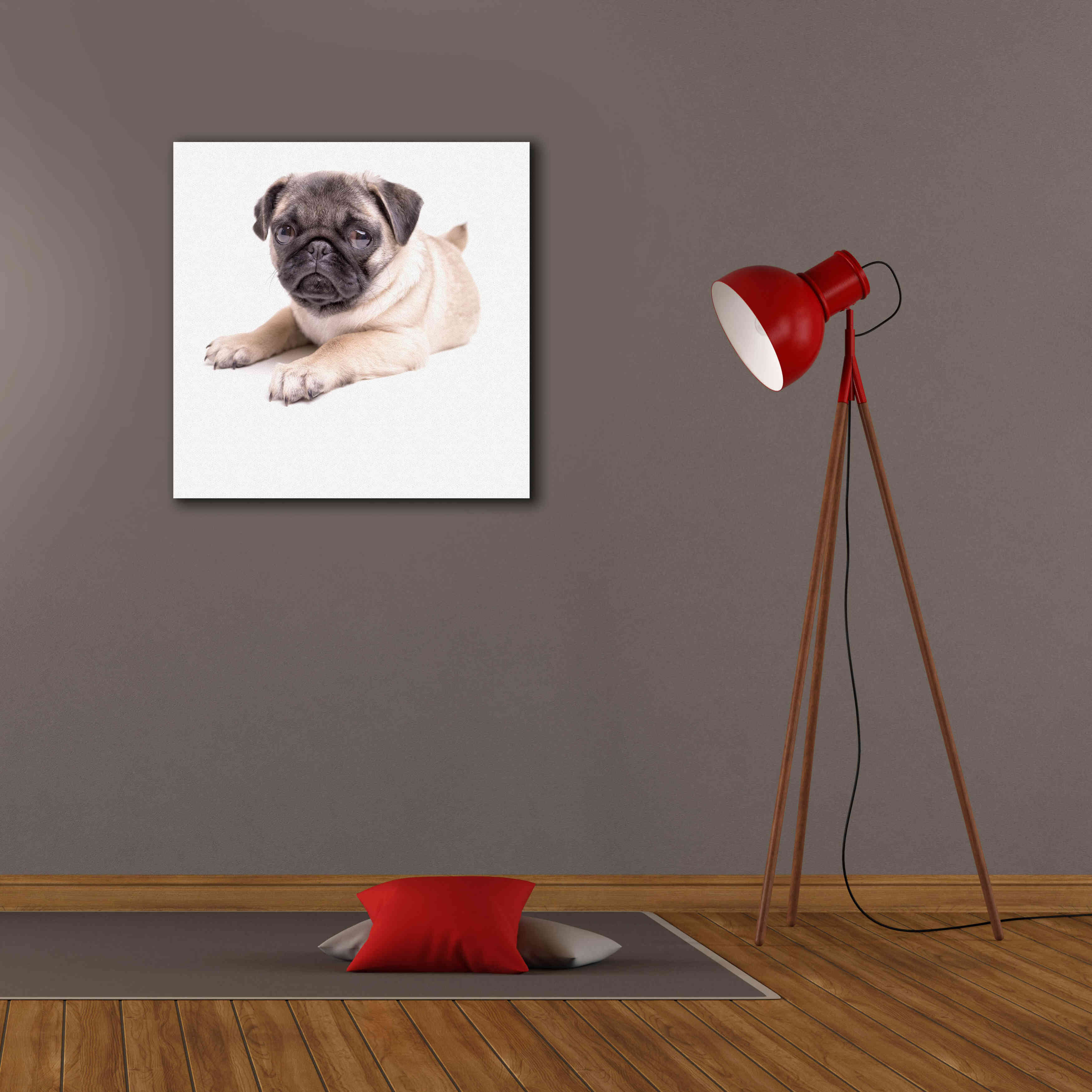 'Cute Pug Puppy' by Edward M. Fielding, Giclee Canvas Wall Art,26x26